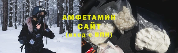 твердый Инсар