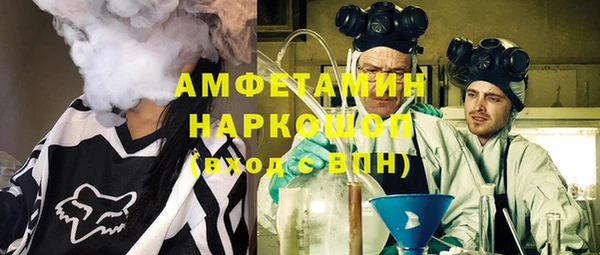 твердый Инсар