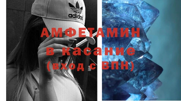твердый Инсар