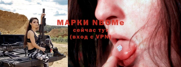 твердый Инсар